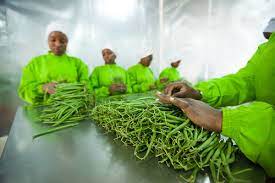 Agro processing