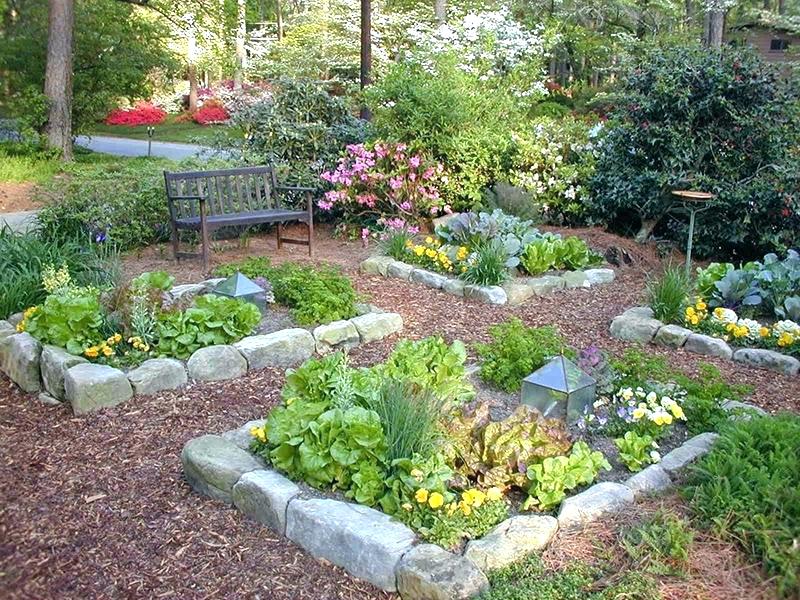An Introduction To Home Gardening