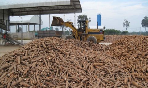 Introduction to Crop Processing | 4 Fascinating art of Agricultural ...