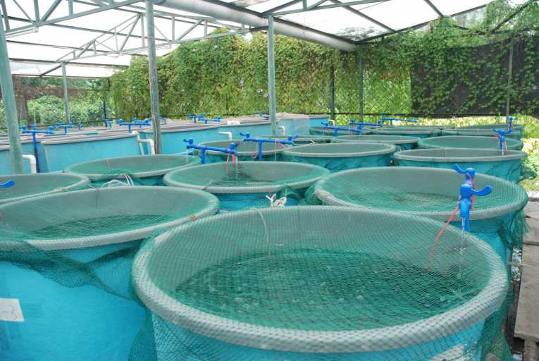 Aquaculture fish farms