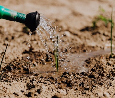 what are the 10 problems of agriculture in nigeria and their solutions