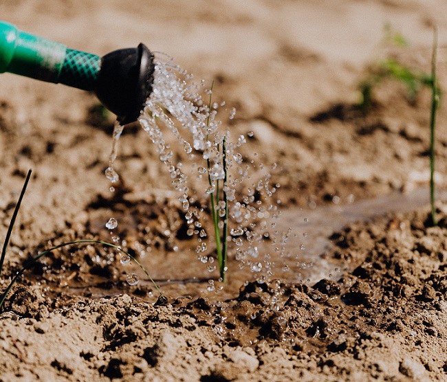 10 problems of agriculture in nigeria