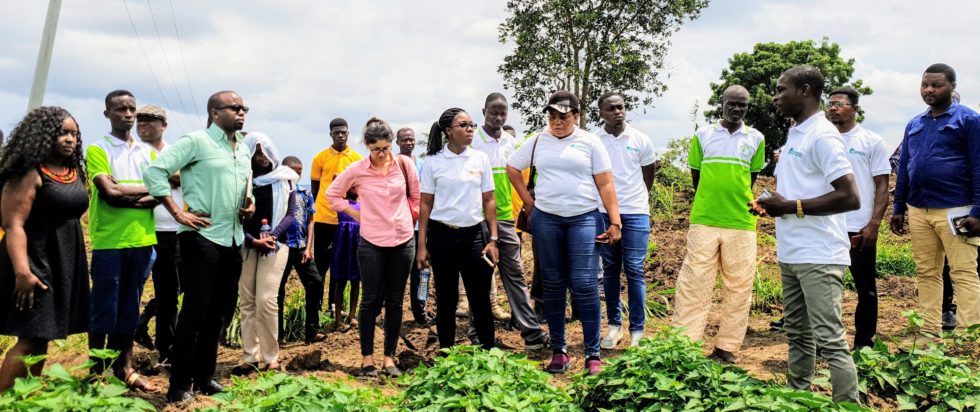 Top 10 Profitable Agribusiness Ideas in Nigeria: Unleashing ...